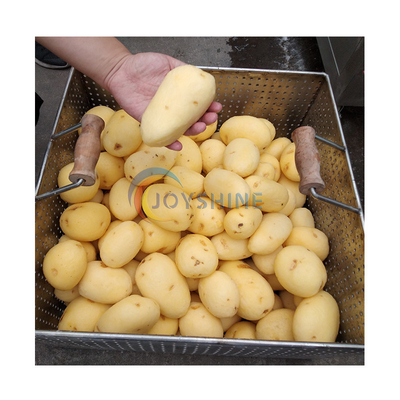 Joyshine Brush Roller Ginger Sweet Potato Peeling and Cleaning Machine 1200kg per Hour
